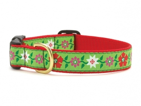 Poinsettia store dog collar